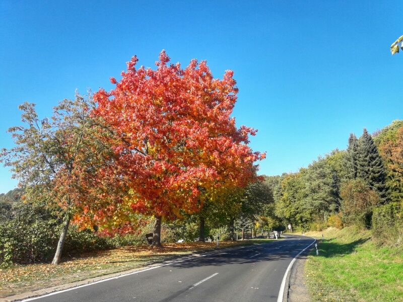 2018101500020700.jpg
