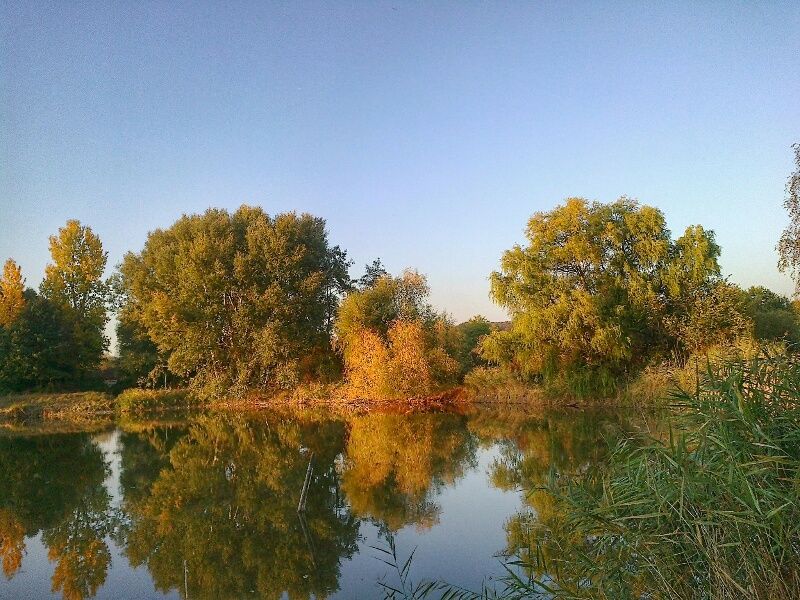2018101622345200.jpg