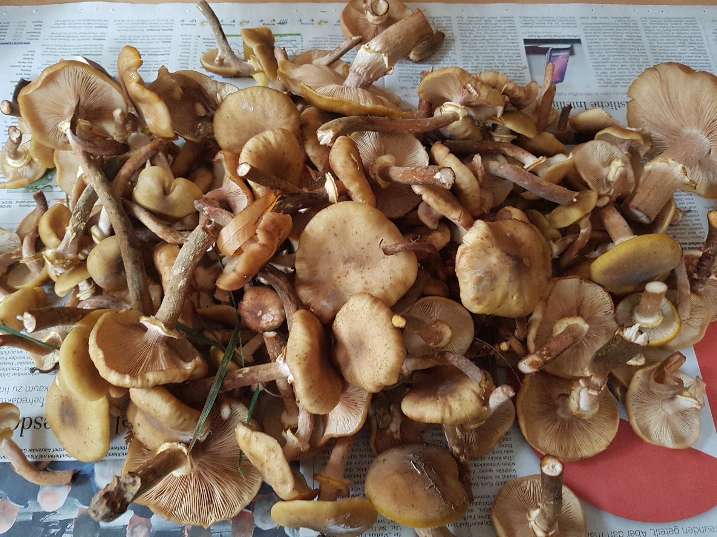 20181026_161322.jpg