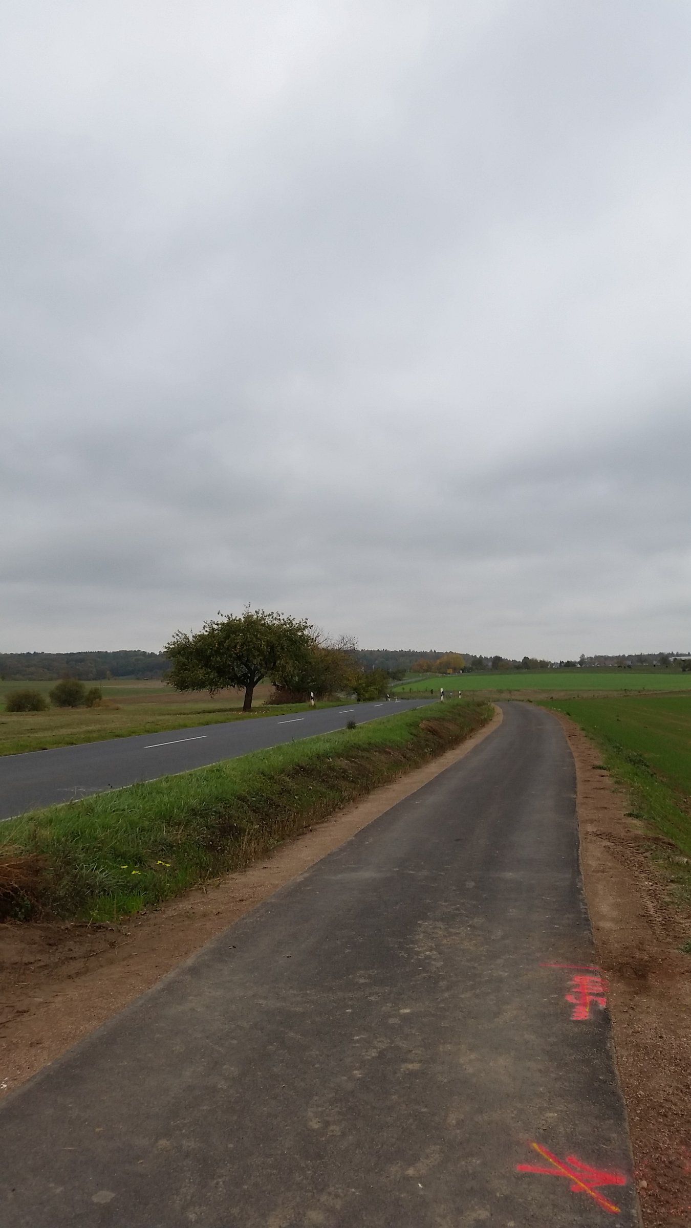 20181104_121347.jpg