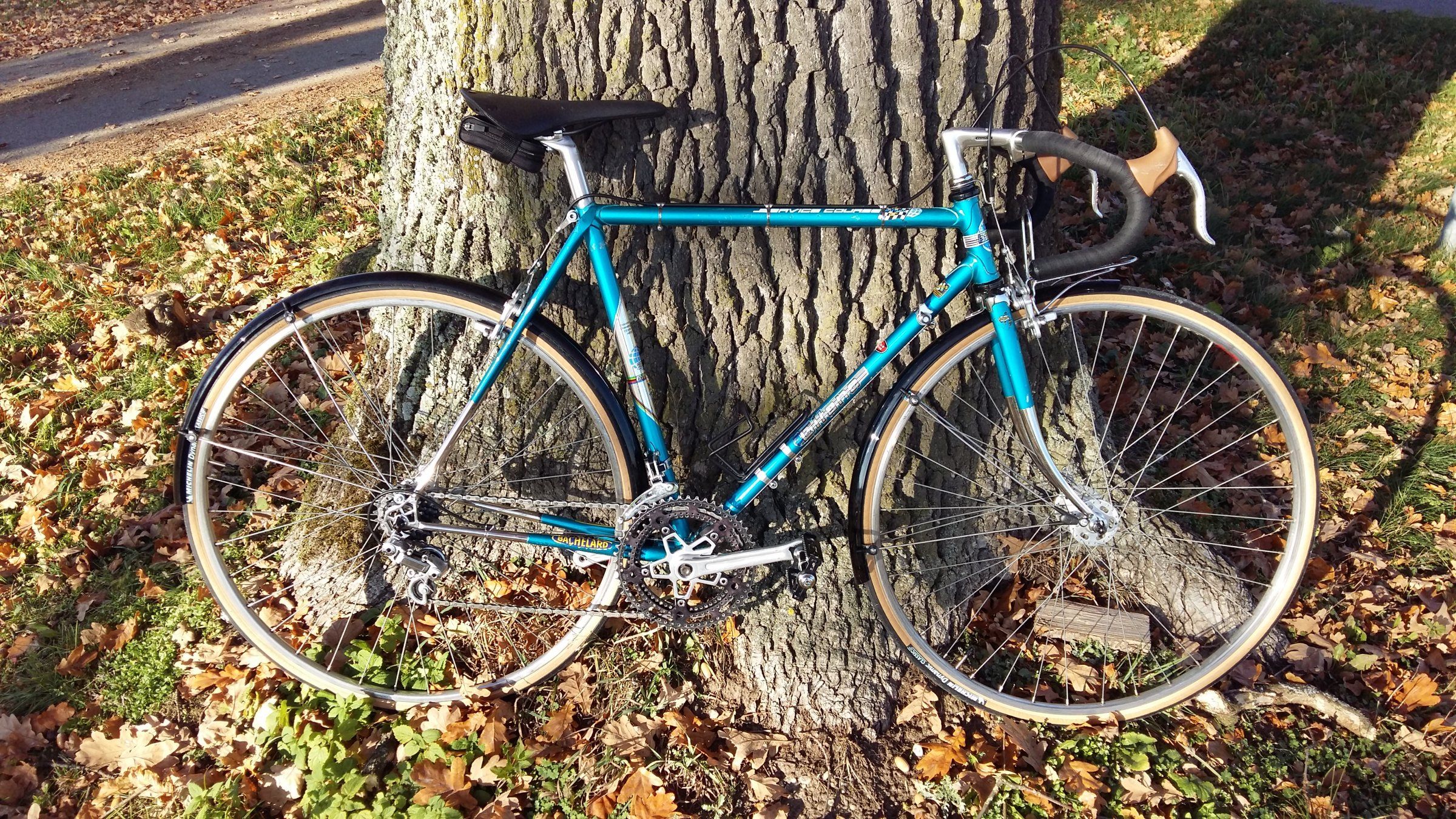20181110_140545.jpg