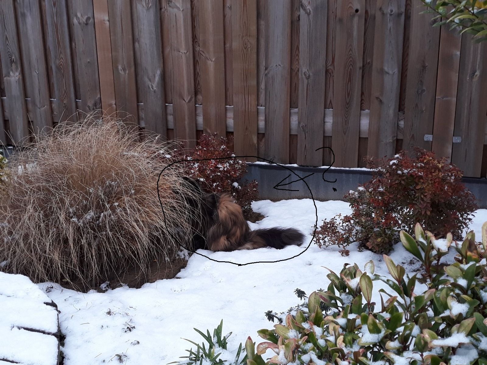 20181216_104605.jpg