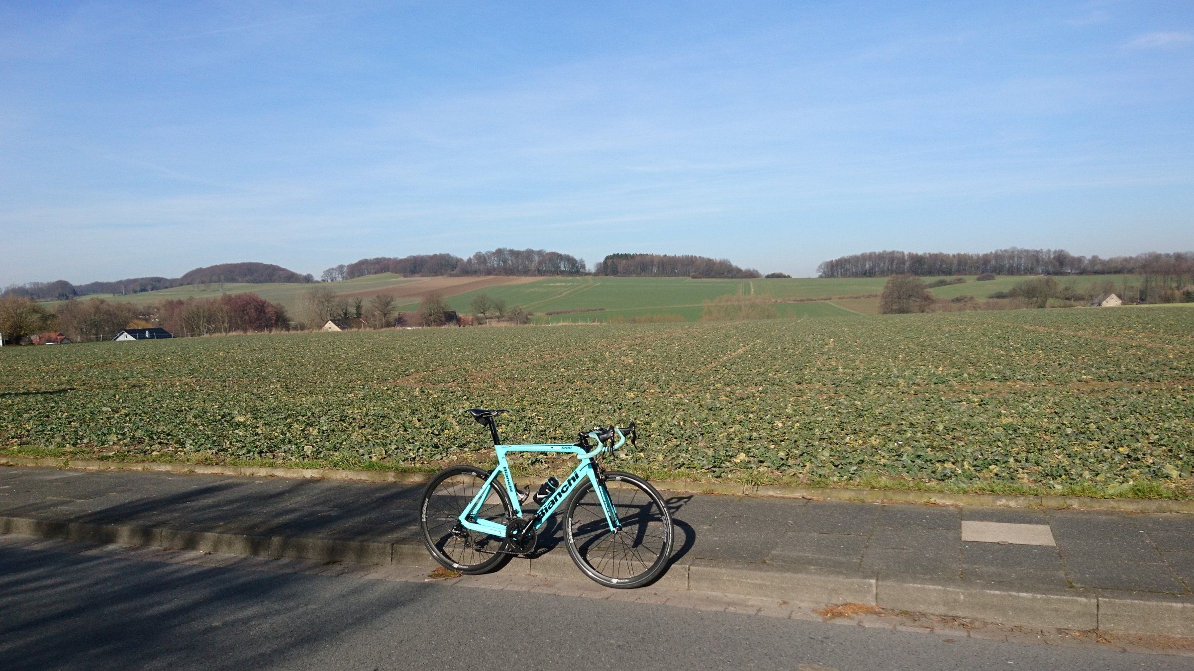 2019-02-17 13.10.51.jpg