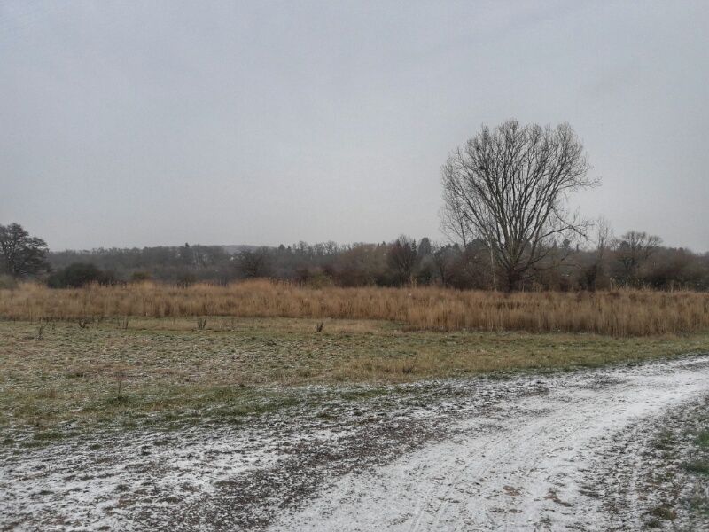 2019012413415400.jpg