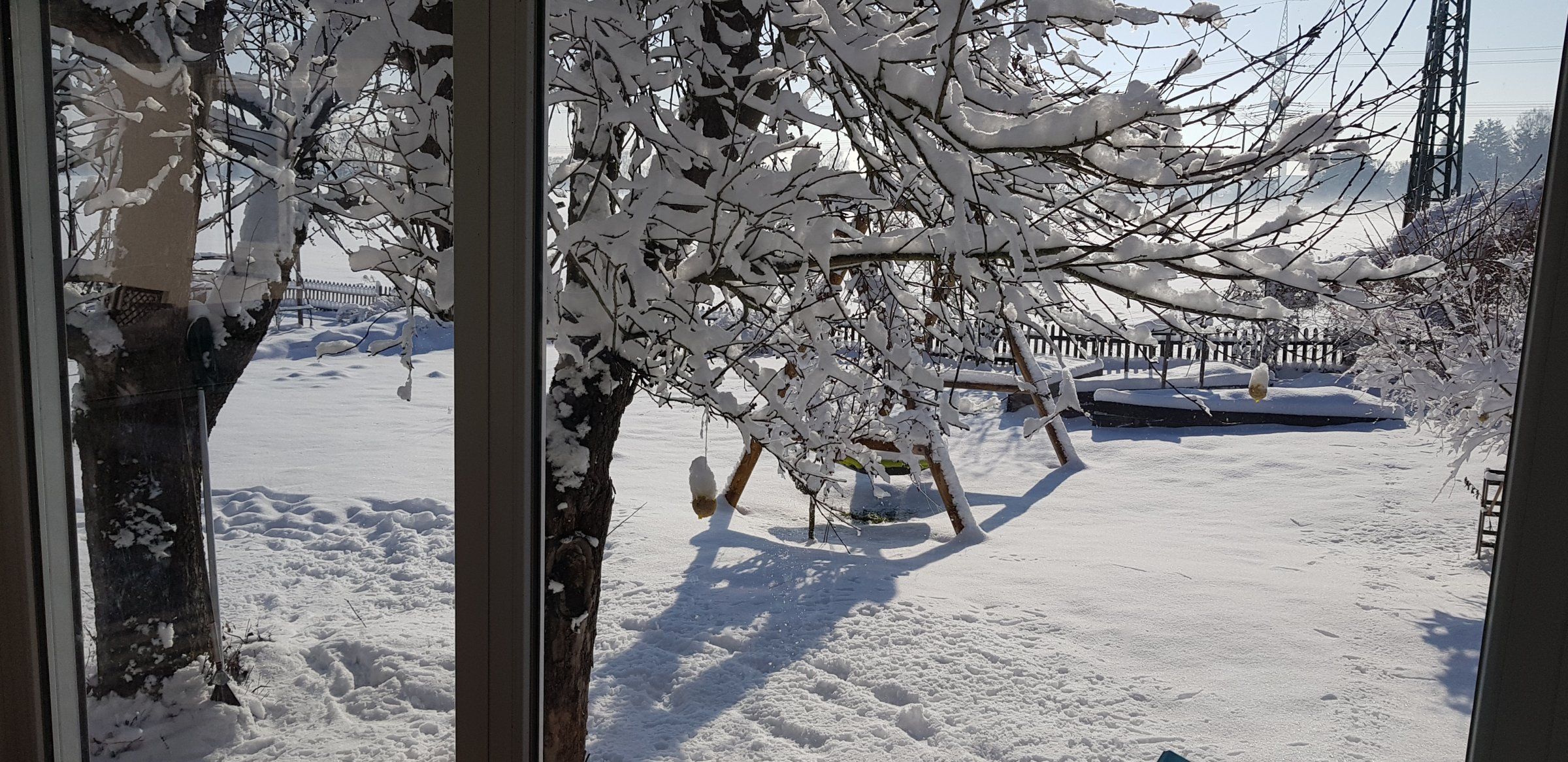 20190204_112507.jpg