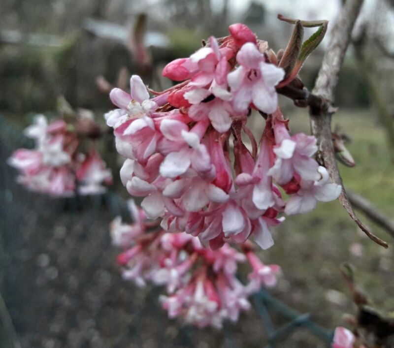 2019030223123600.jpg