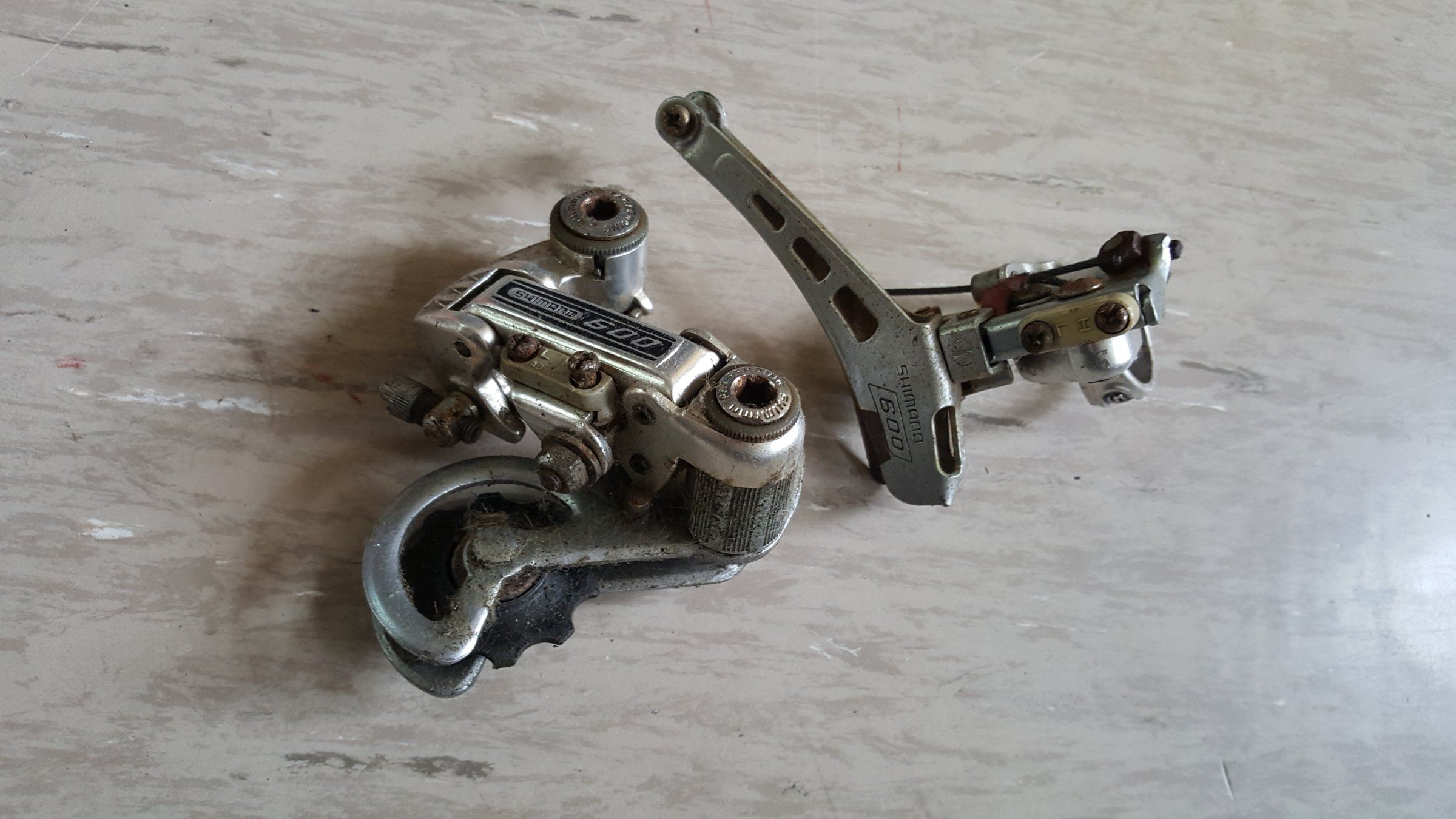 20190309_115854.jpg