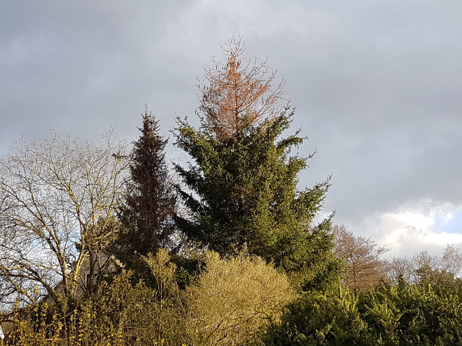 20190318_172925 (1).jpg