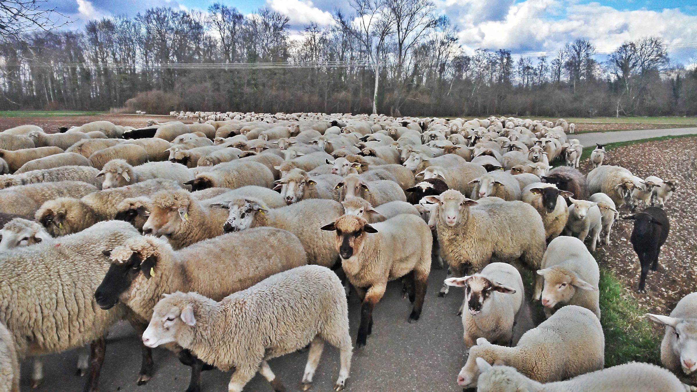 20190319_154824_HDR.jpg