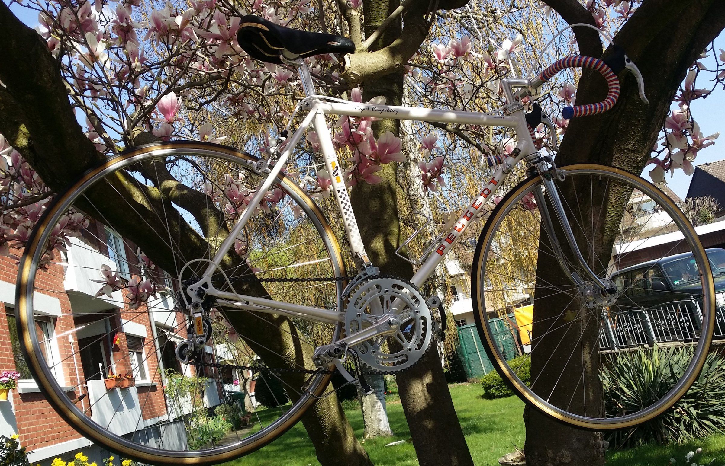 20190330_124920.jpg