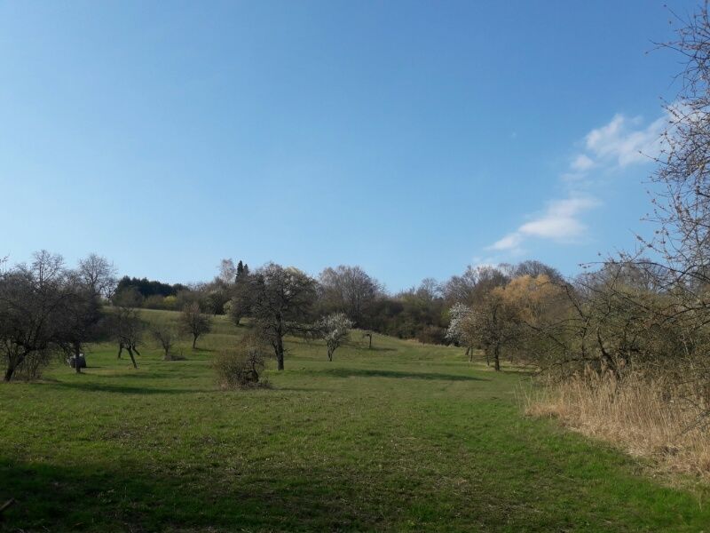 2019033122054300.jpg