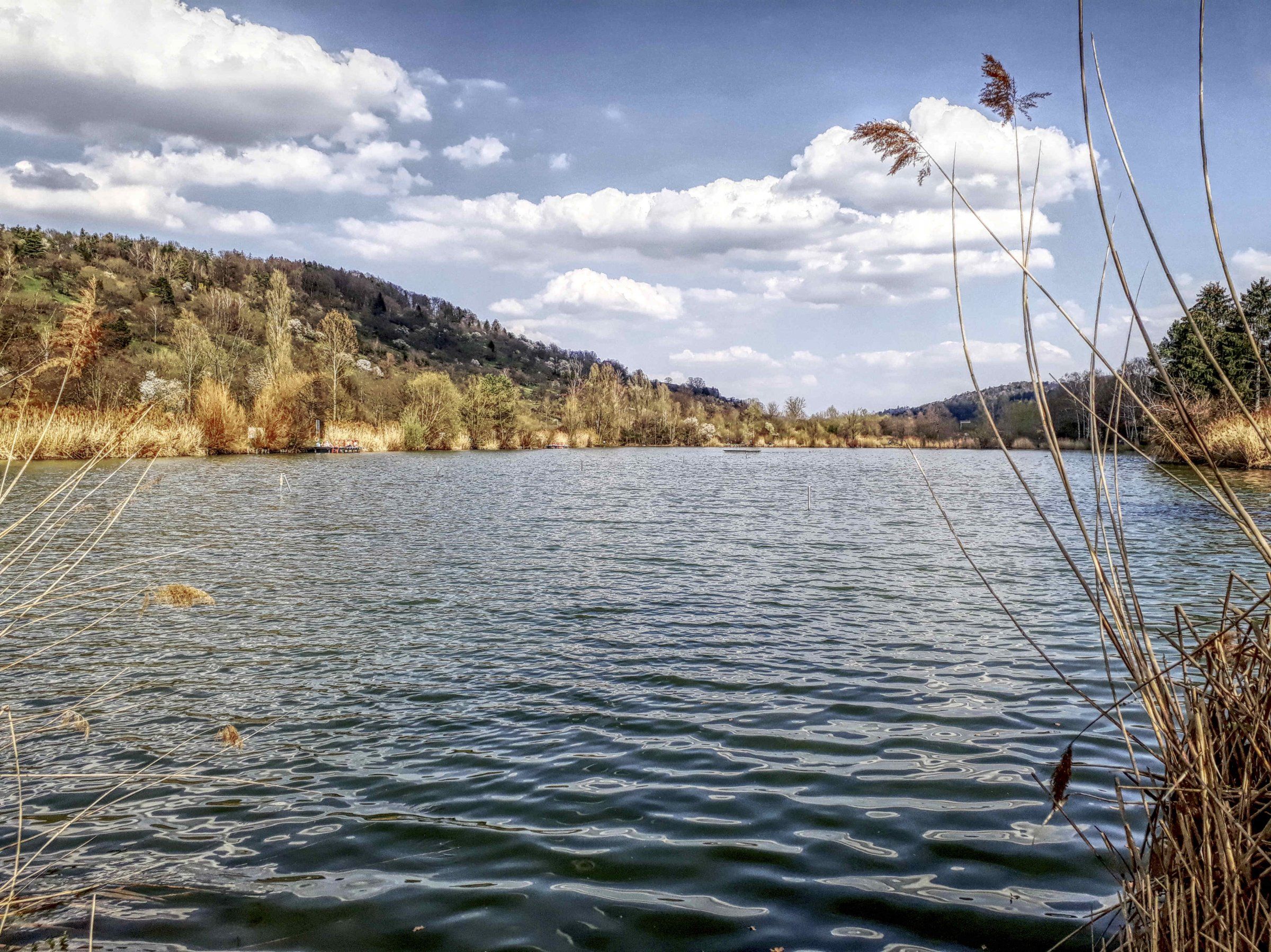 20190331_153959-HDRb.jpg