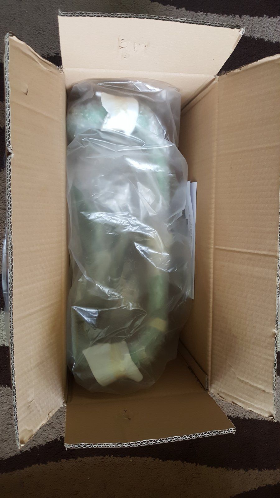 20190423_115425.jpg