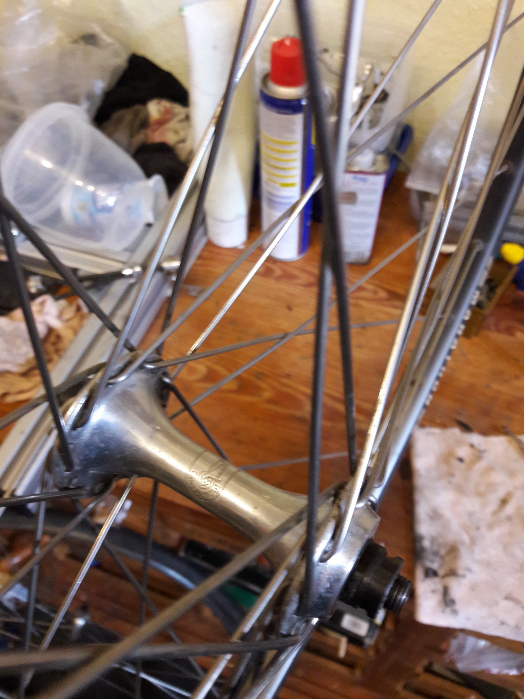 20190505_174908.jpg