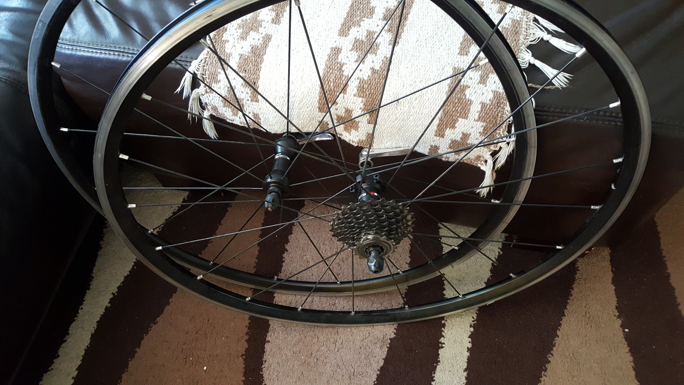 20190515_130355.jpg