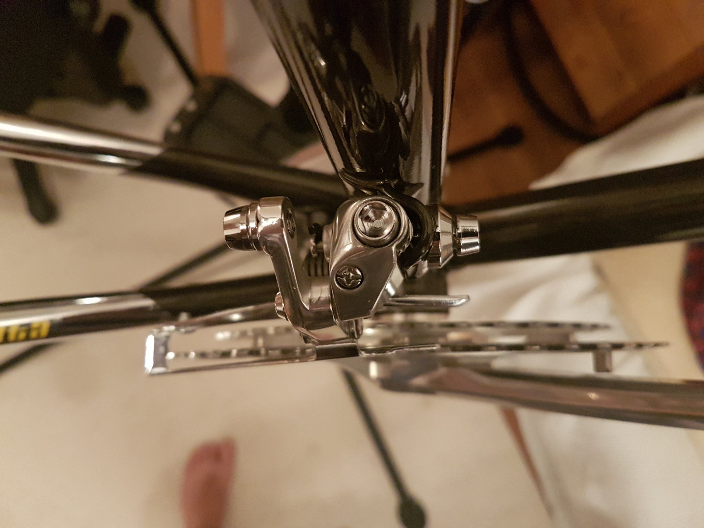 20190527_225156.jpg