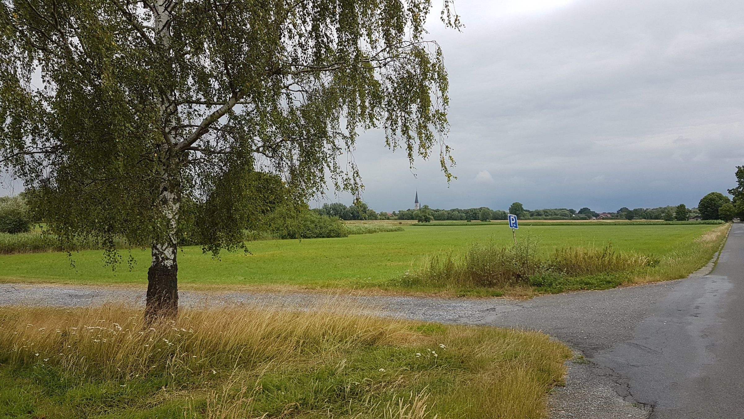 20190713_134206.jpg