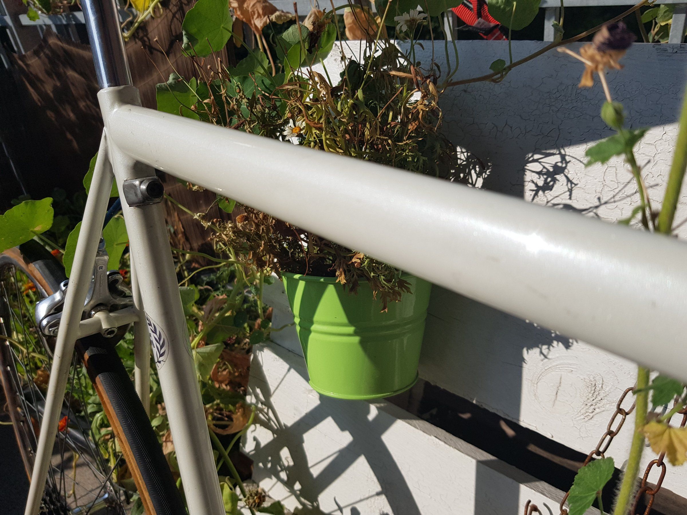 20190725_172704.jpg