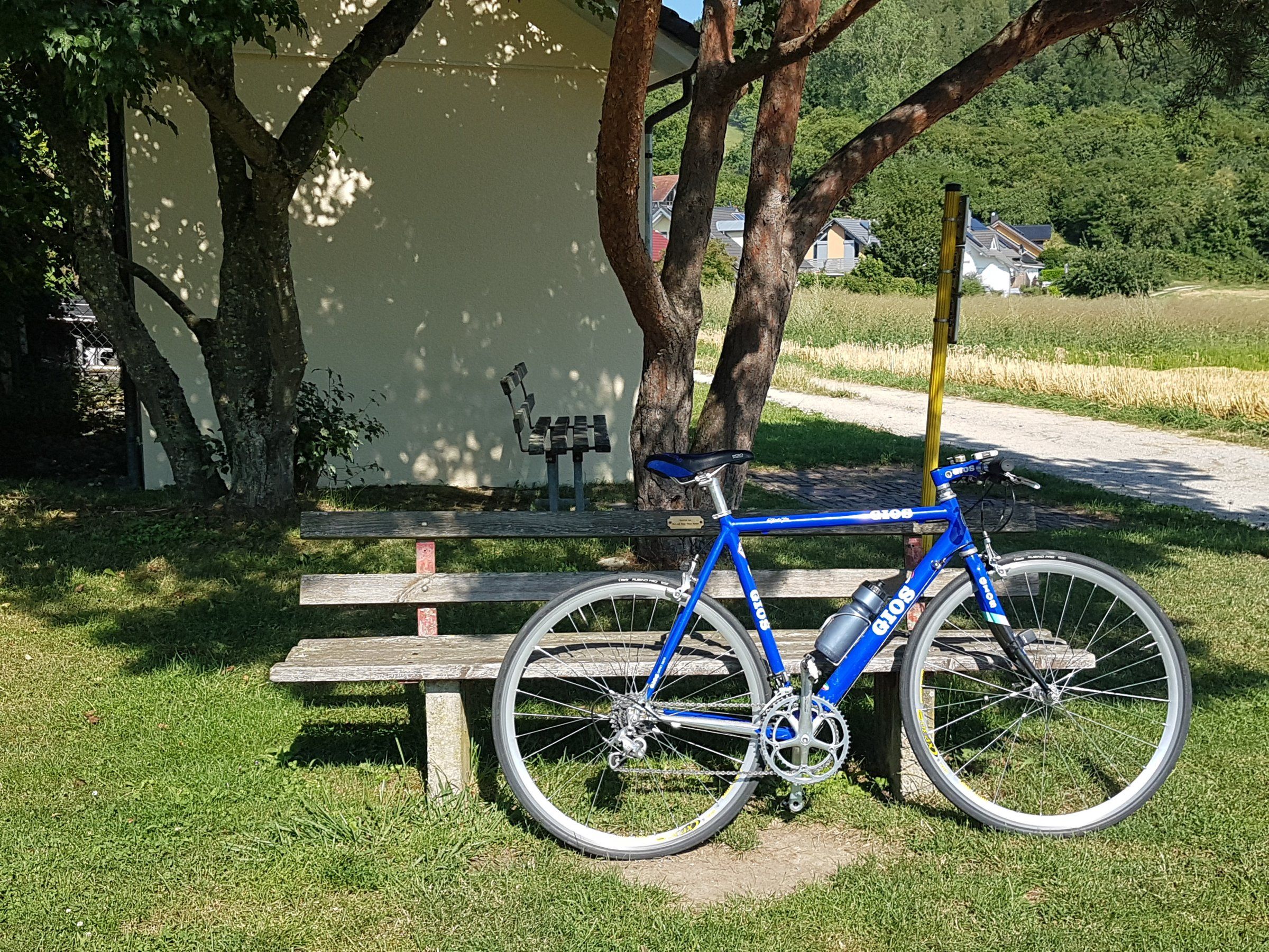 20190730_165323.jpg