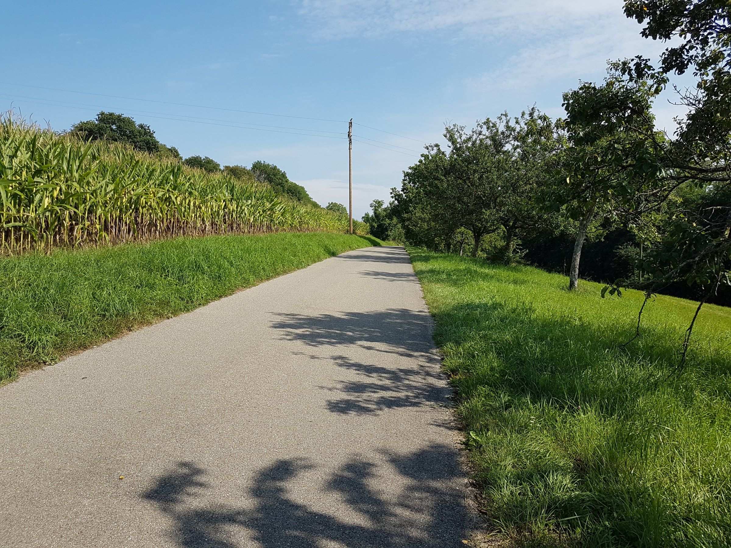 20190828_155528.jpg