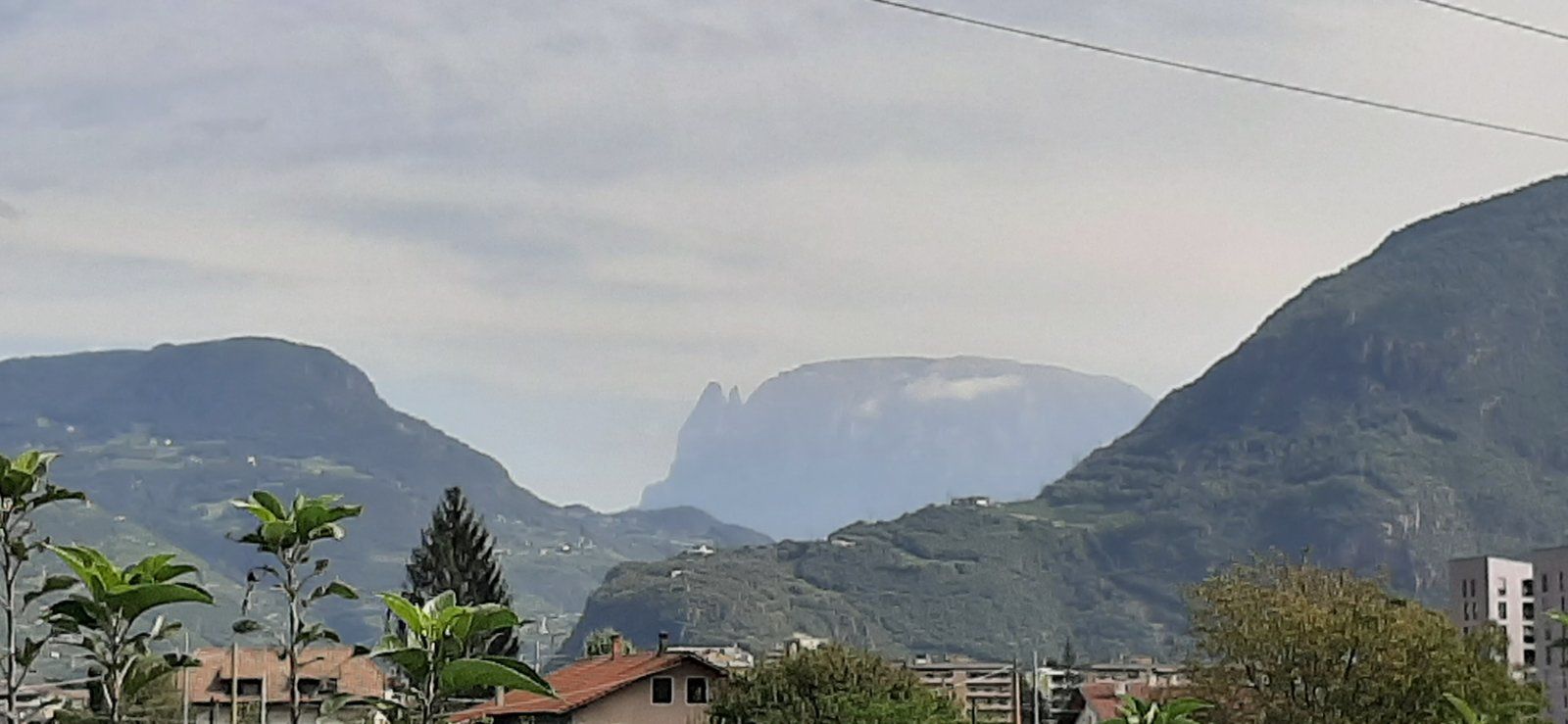 20190920_122532.jpg