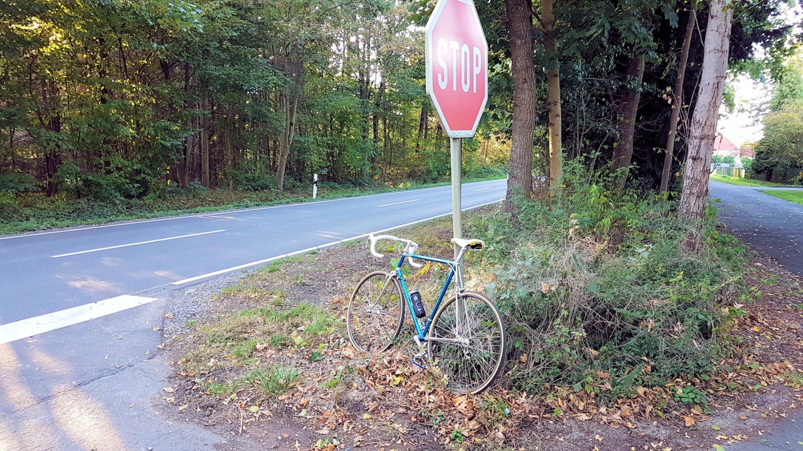 20190921_174131a.jpg