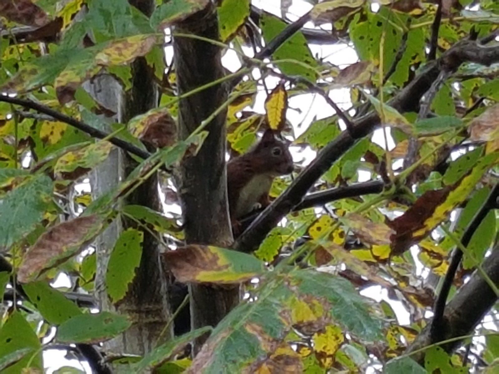 20191006_151825.jpg