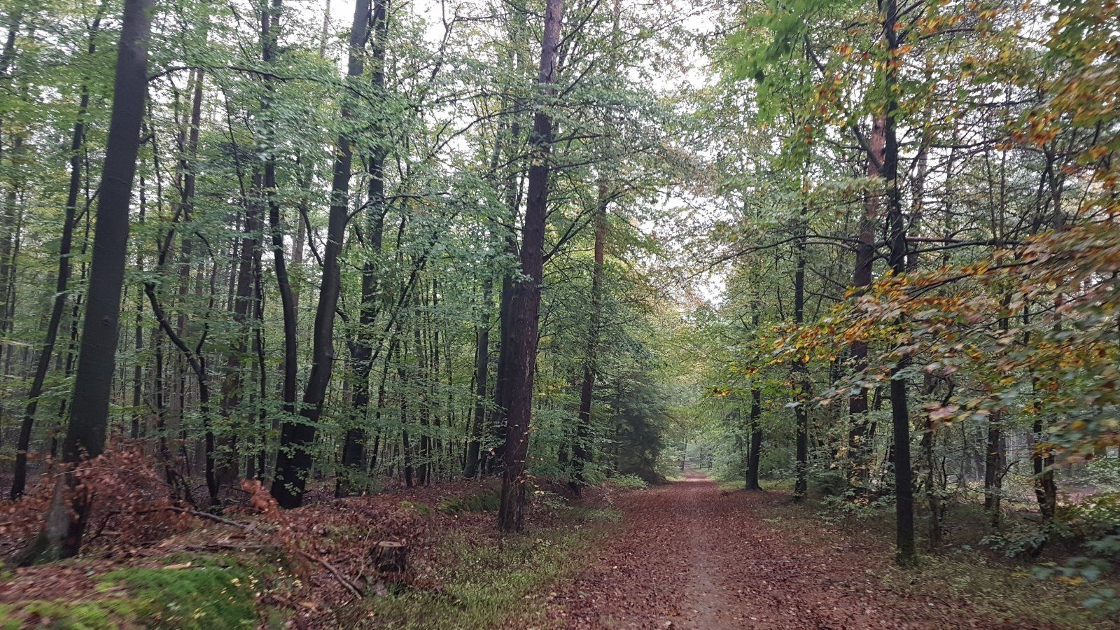 20191013_131805.jpg