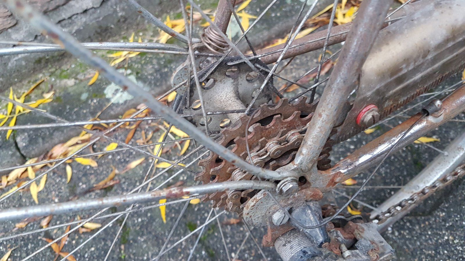 20191015_181234.jpg
