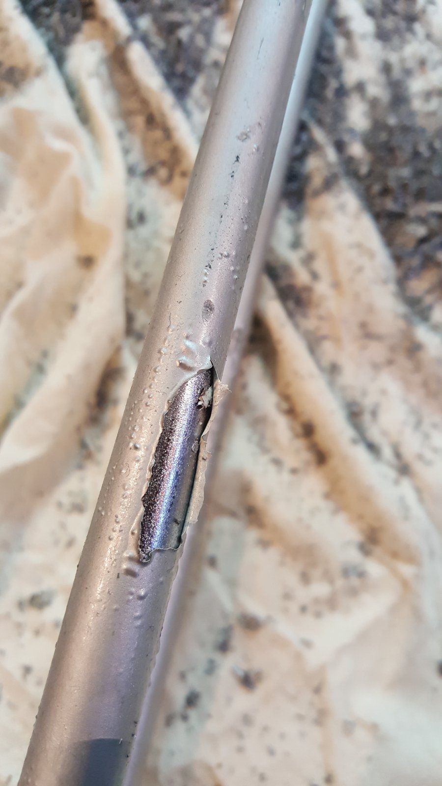 20191021_130133.jpg