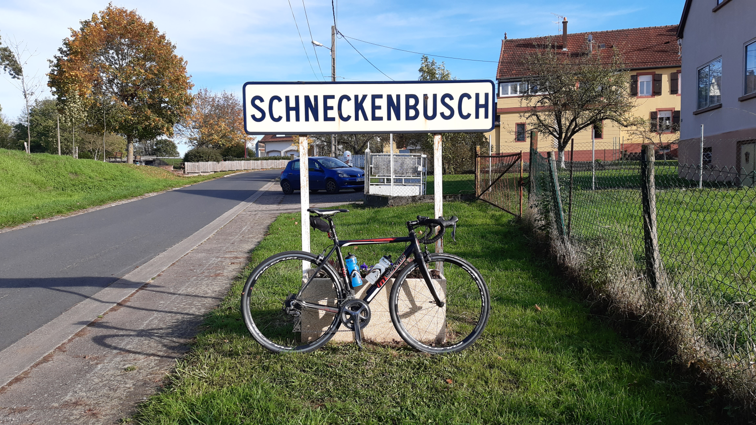 20191026_schneckenbusch.png