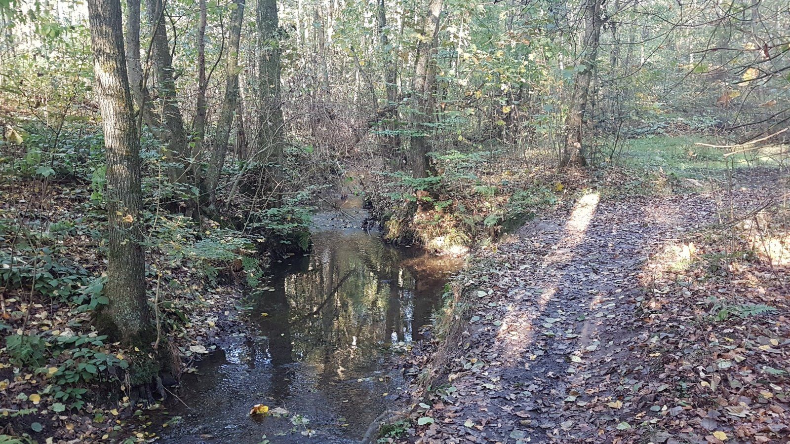 20191031_094129.jpg