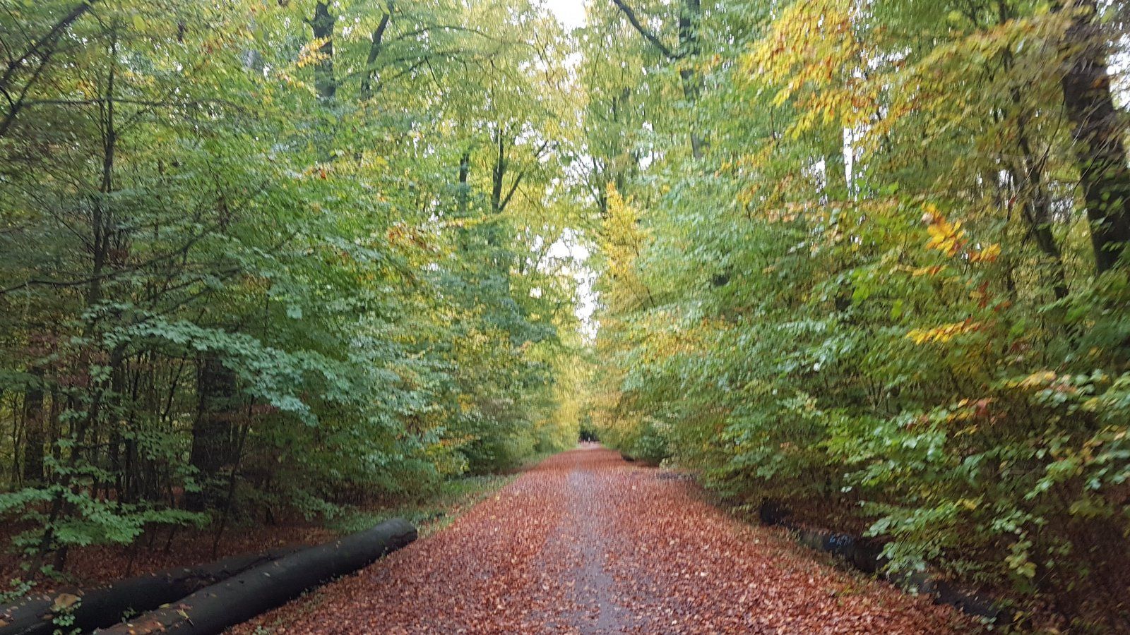 20191103_113022.jpg