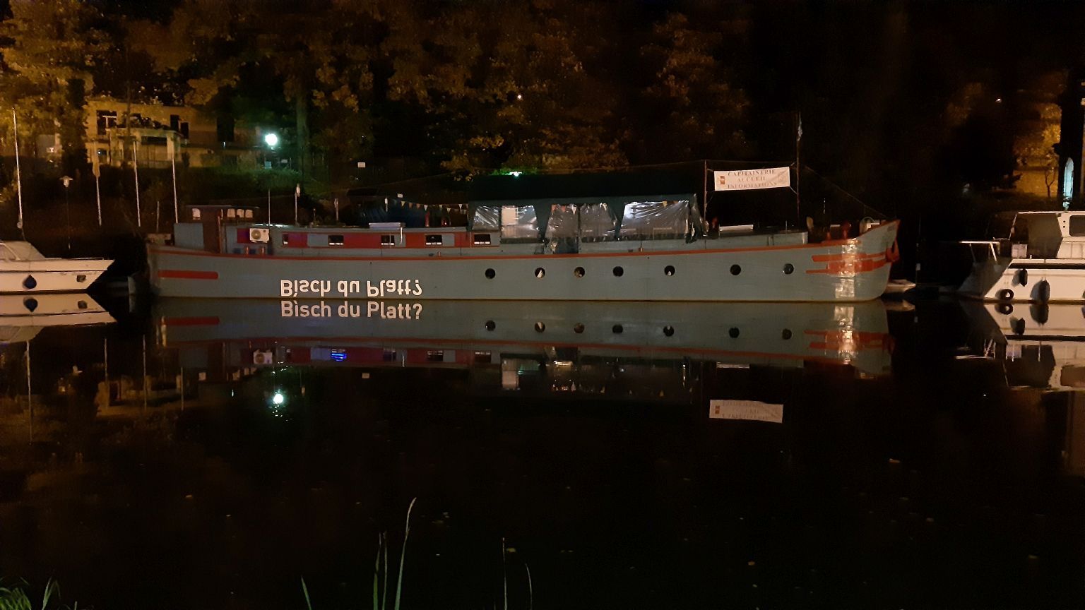 20191107_platt.jpg