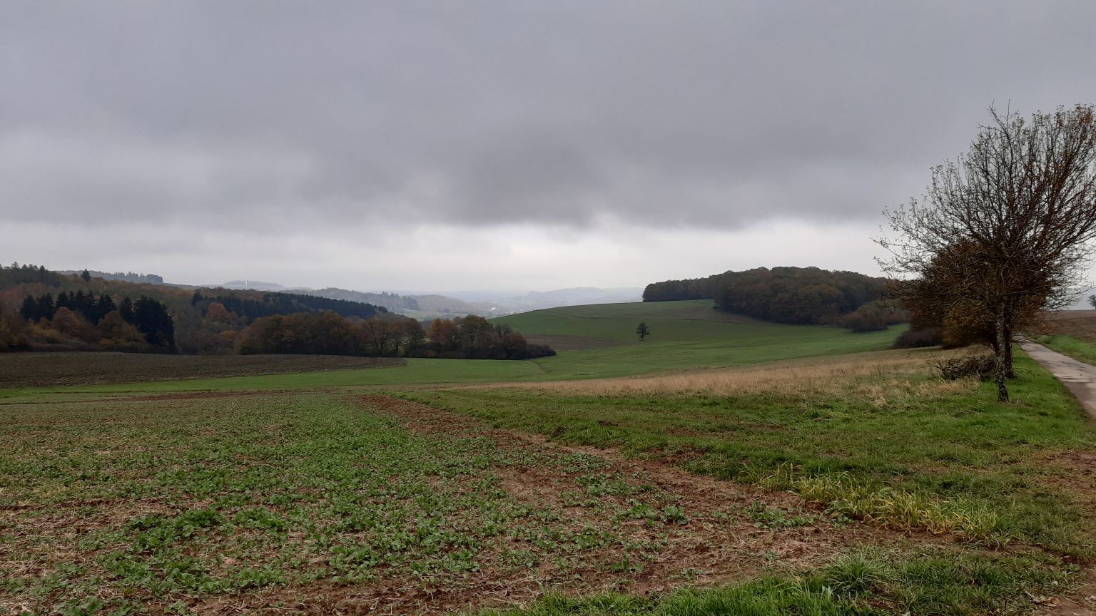 20191111_ostertal.jpg