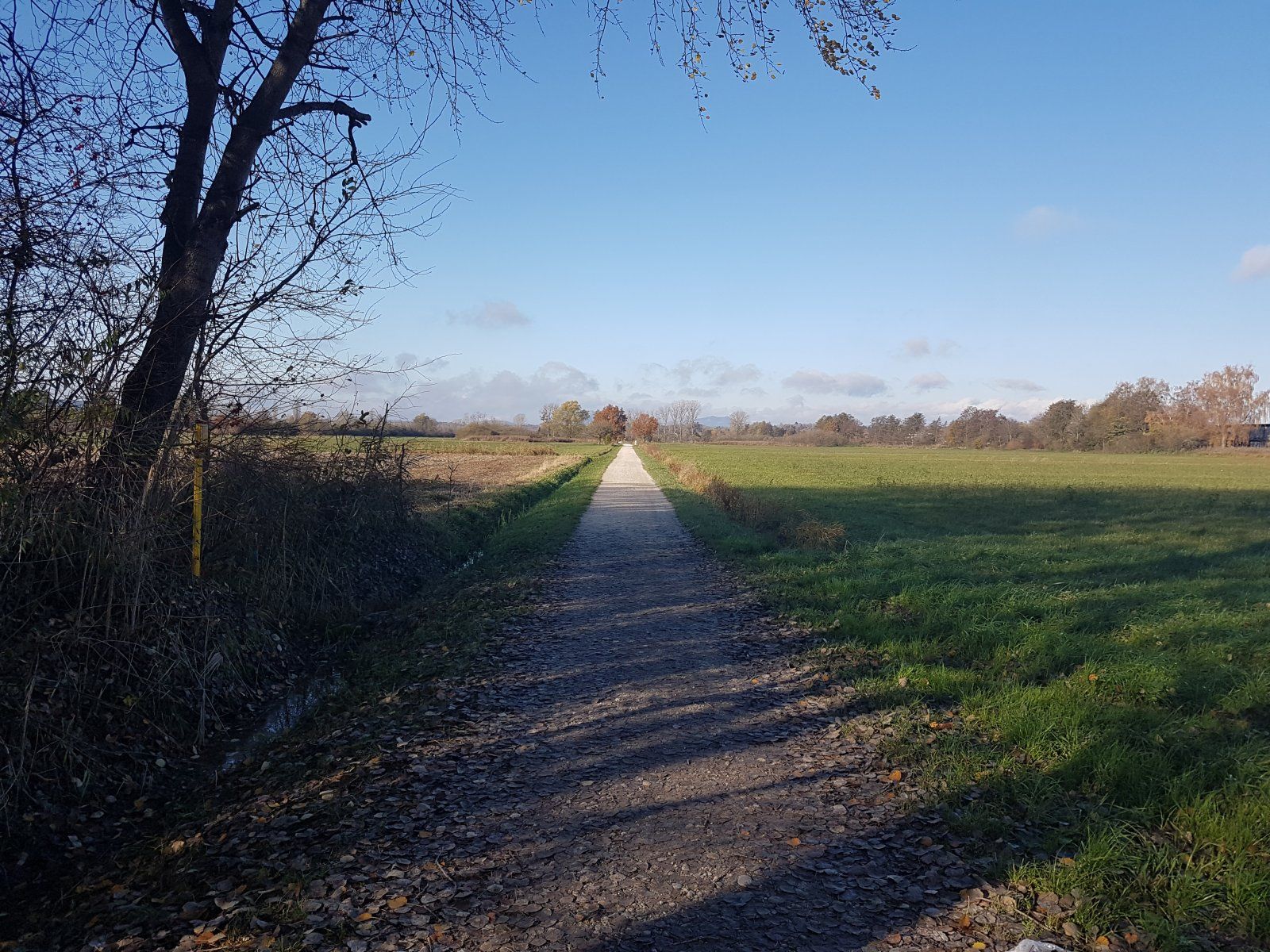 20191113_102255.jpg