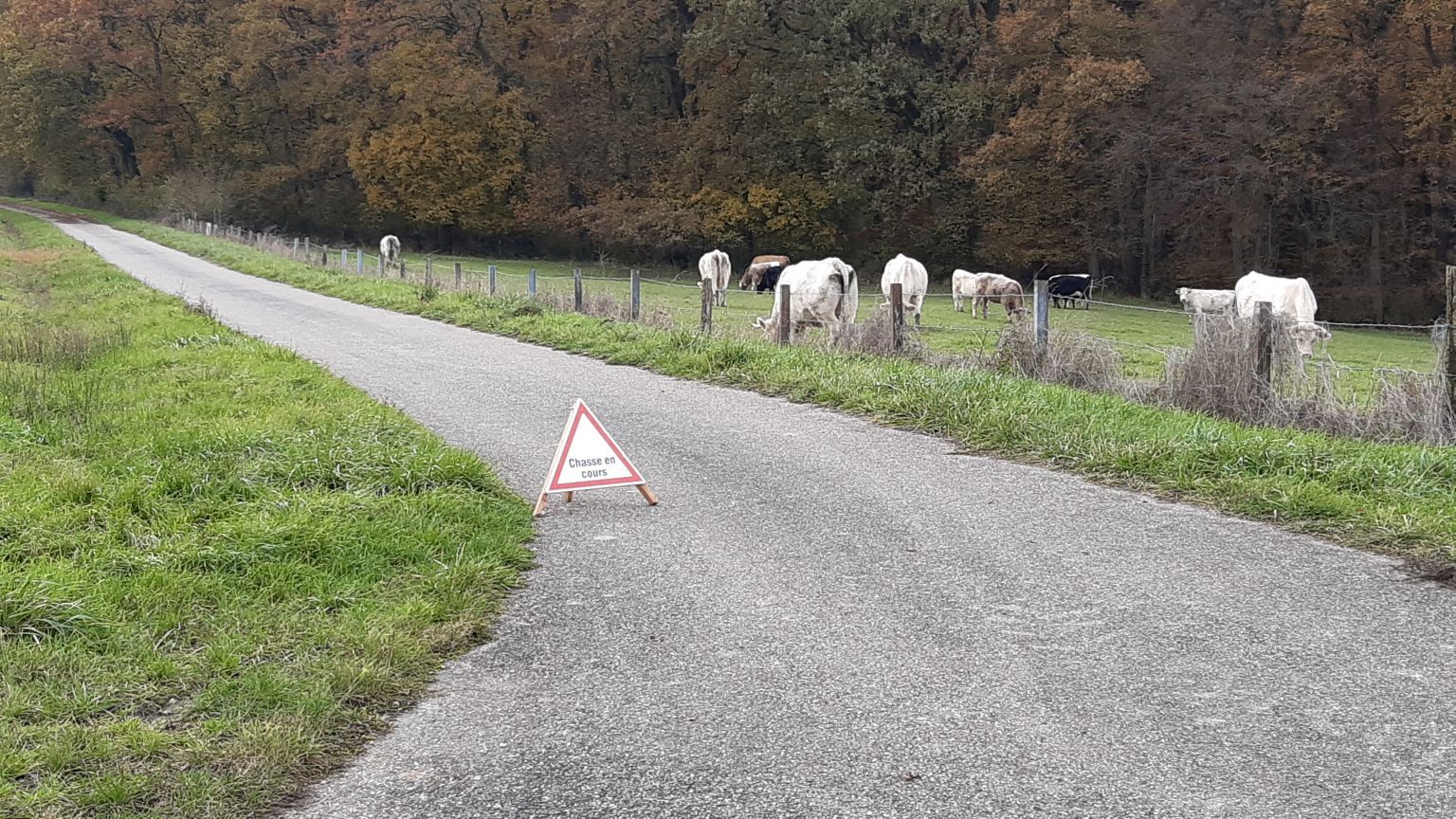 20191116_chasse.jpg