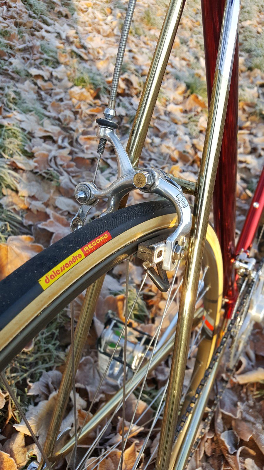 20191205_095205.jpg