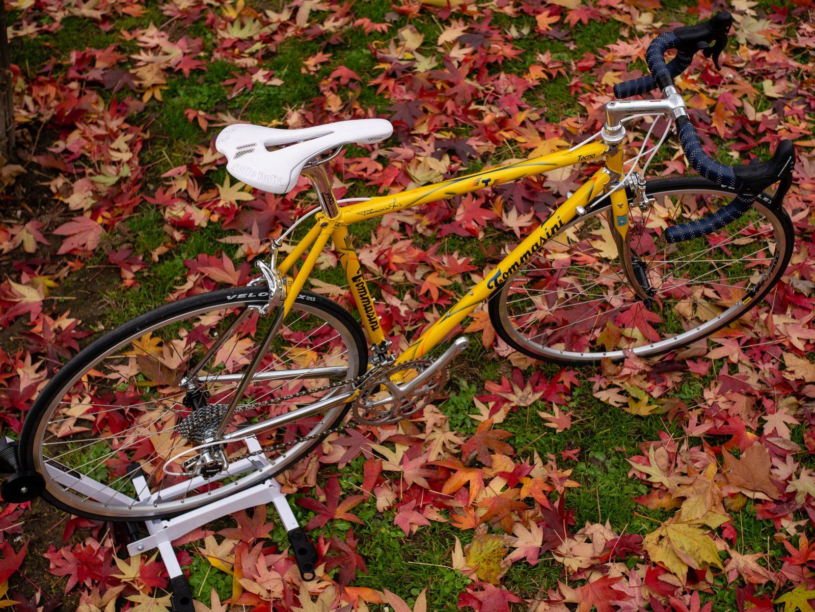2019nov24_tecno_giallo-019-1.jpg