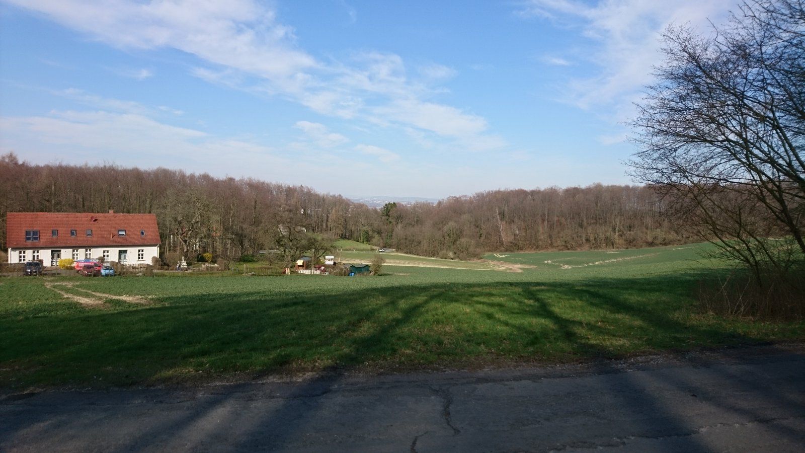 2020-03-25 15.01.19.jpg