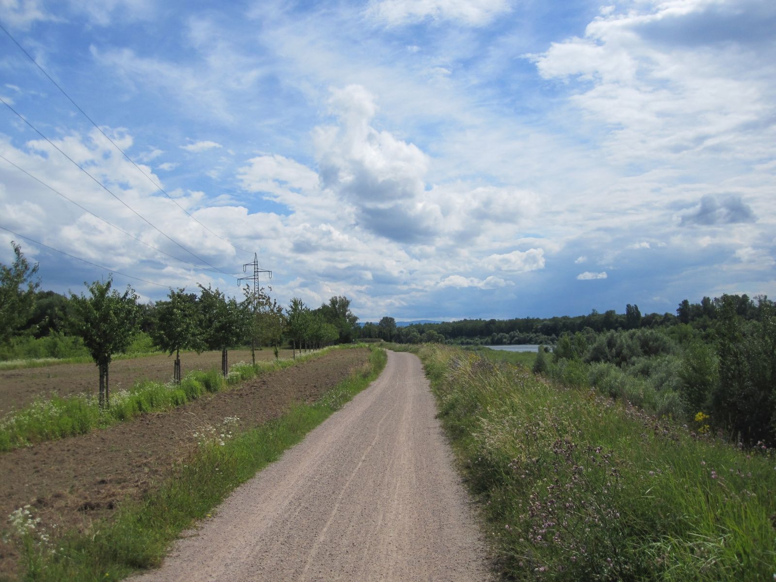 2020-06-28 50a.jpg