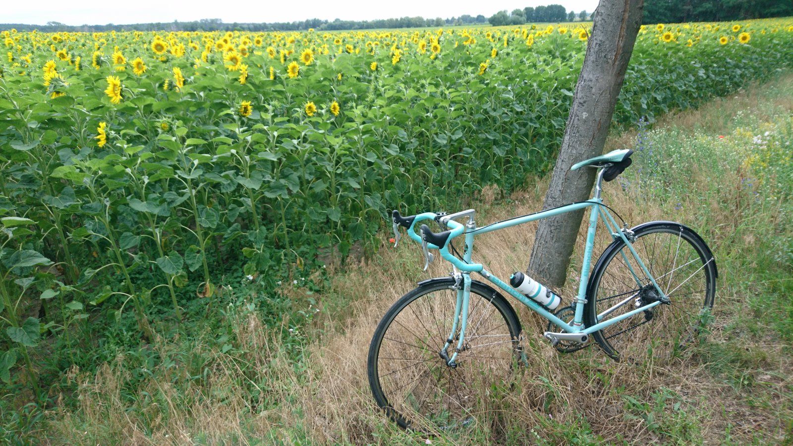 2020-07-04 19.24.34.jpg