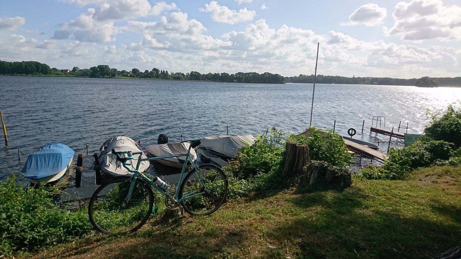 2020-07-06 08.28.36.jpg