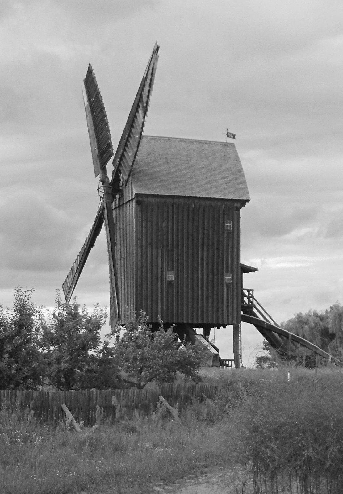 2020-07-08 17.57.38.jpg