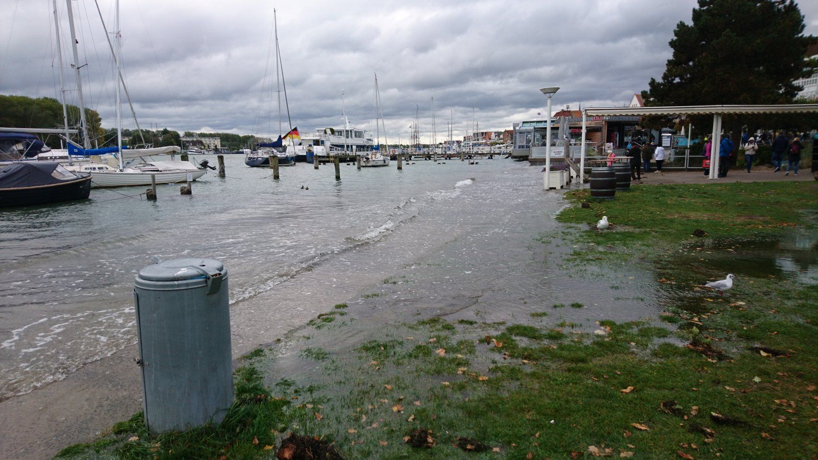 2020-10-14 13.34.30.jpg