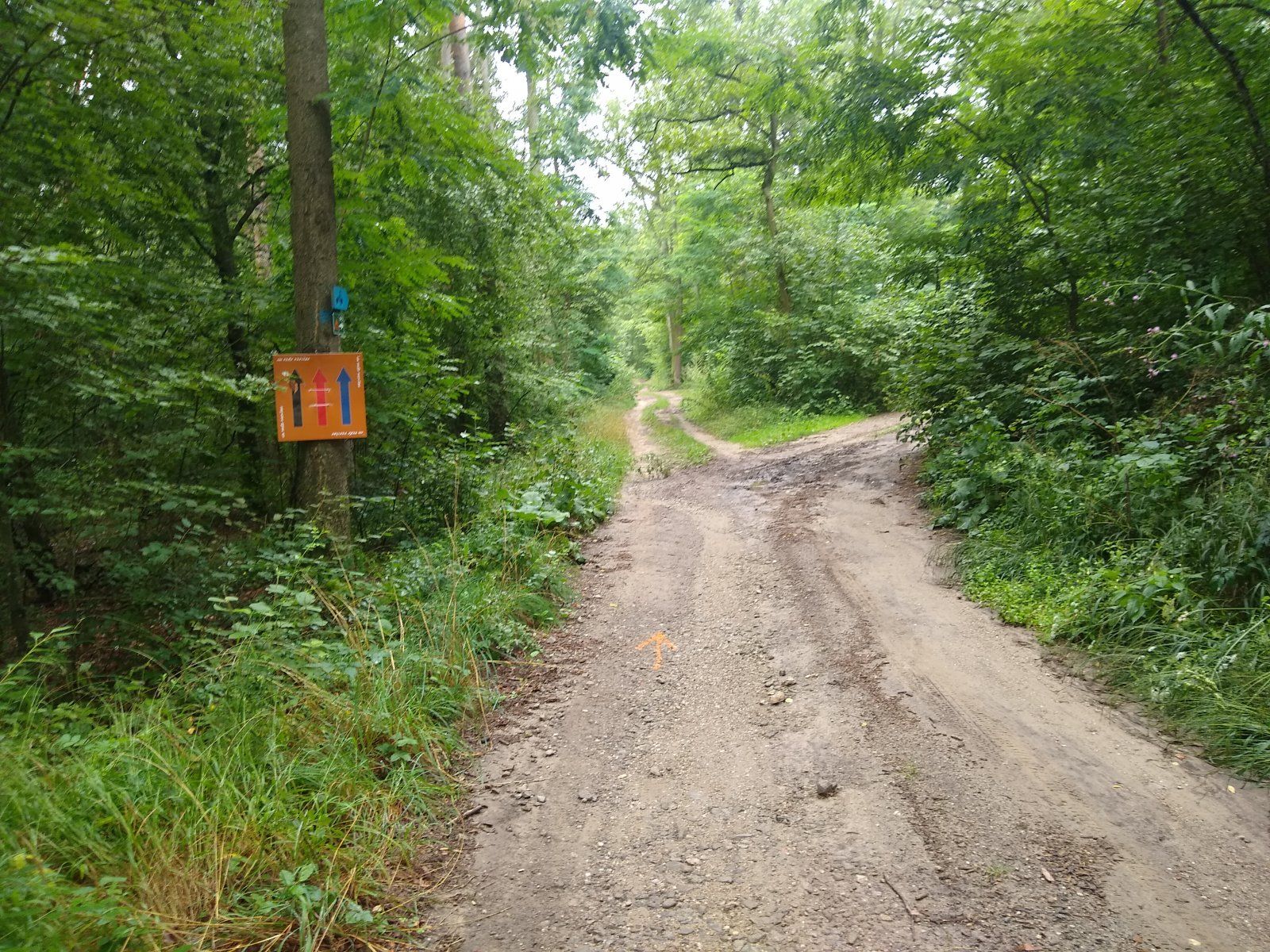 2020-IVV-Hollabrunn_146.jpg