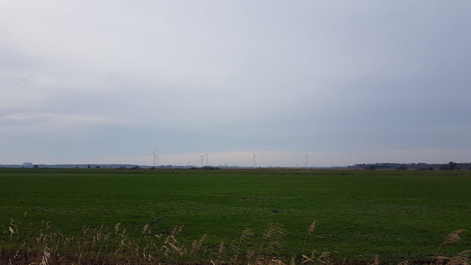 20200111_123638.jpg