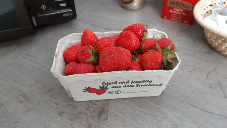 20200512_erdbeeren.png