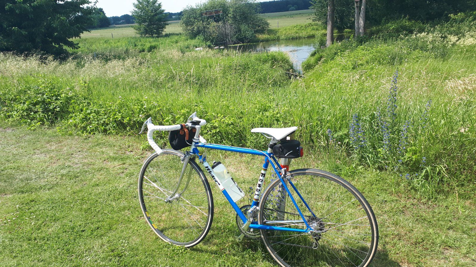 20200627_142549.jpg