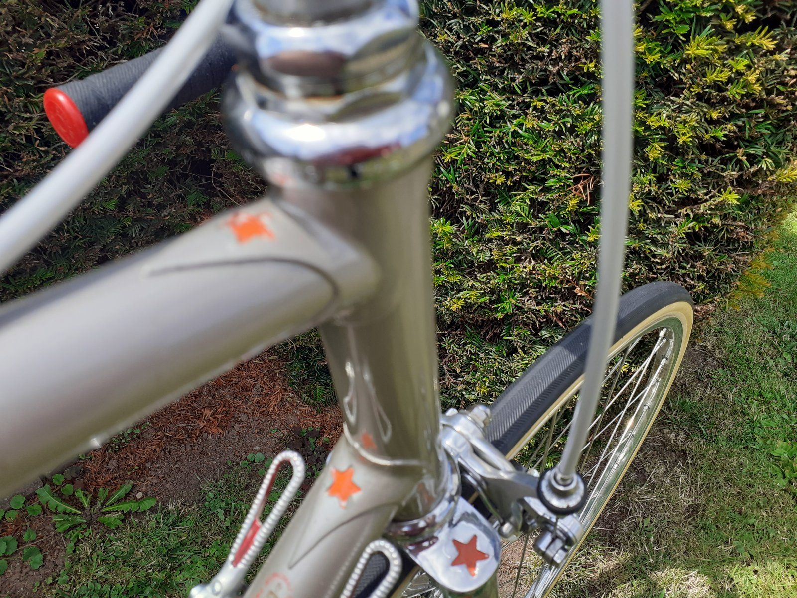 20200718_144558.jpg